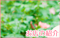 お店紹介